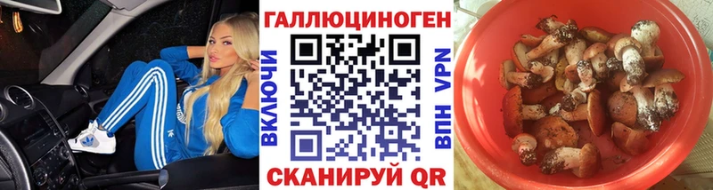 Купить  Реж  Галлюциногенные грибы Cubensis 